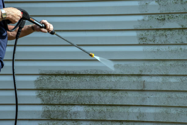 Best Pressure Washing Company Near Me  in Han, GA